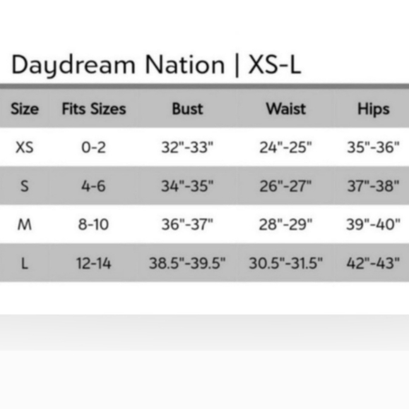 NWT Daydream Nation Wilshire Panty in Floral Mesh Lace Size Medium - Picture 8 of 8